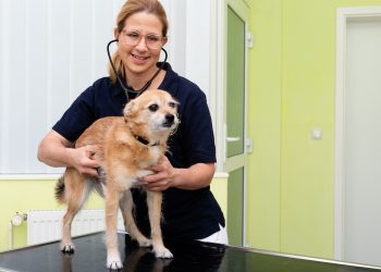 Schmerzfreies Laufen